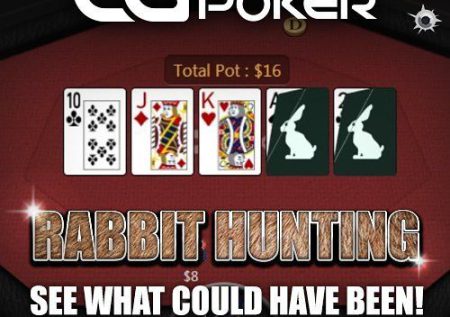 Rabbit Hunter Poker