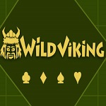 Wild Viking